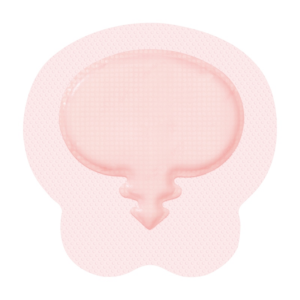 Allevyn Gentle Foam Border Sacrum