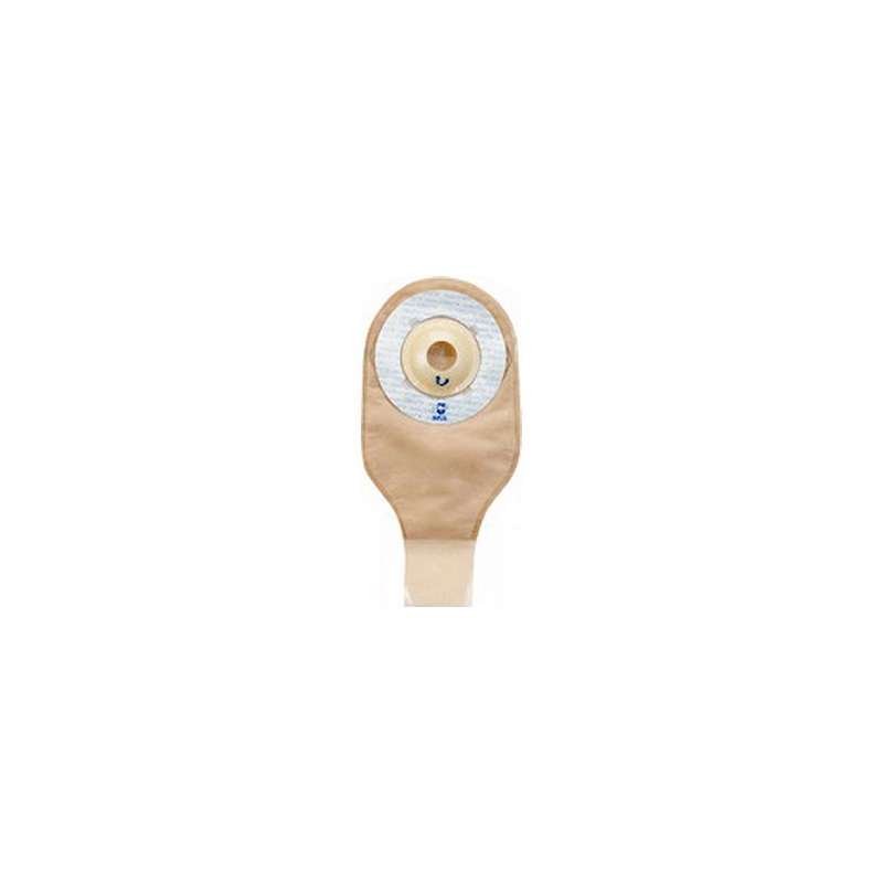 Shal Cnvx 1 1/8"