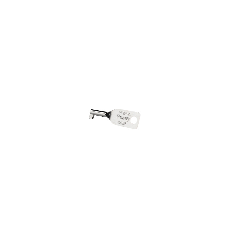 Universal Key for Lock Cuff and Belt